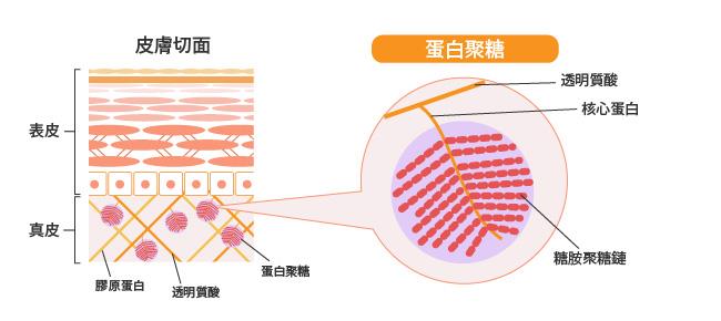 抗糖11.jpg