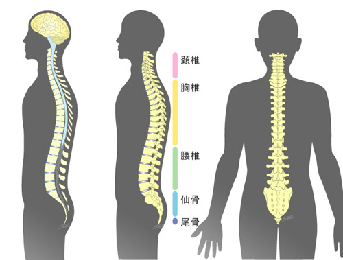 打盹5.jpg