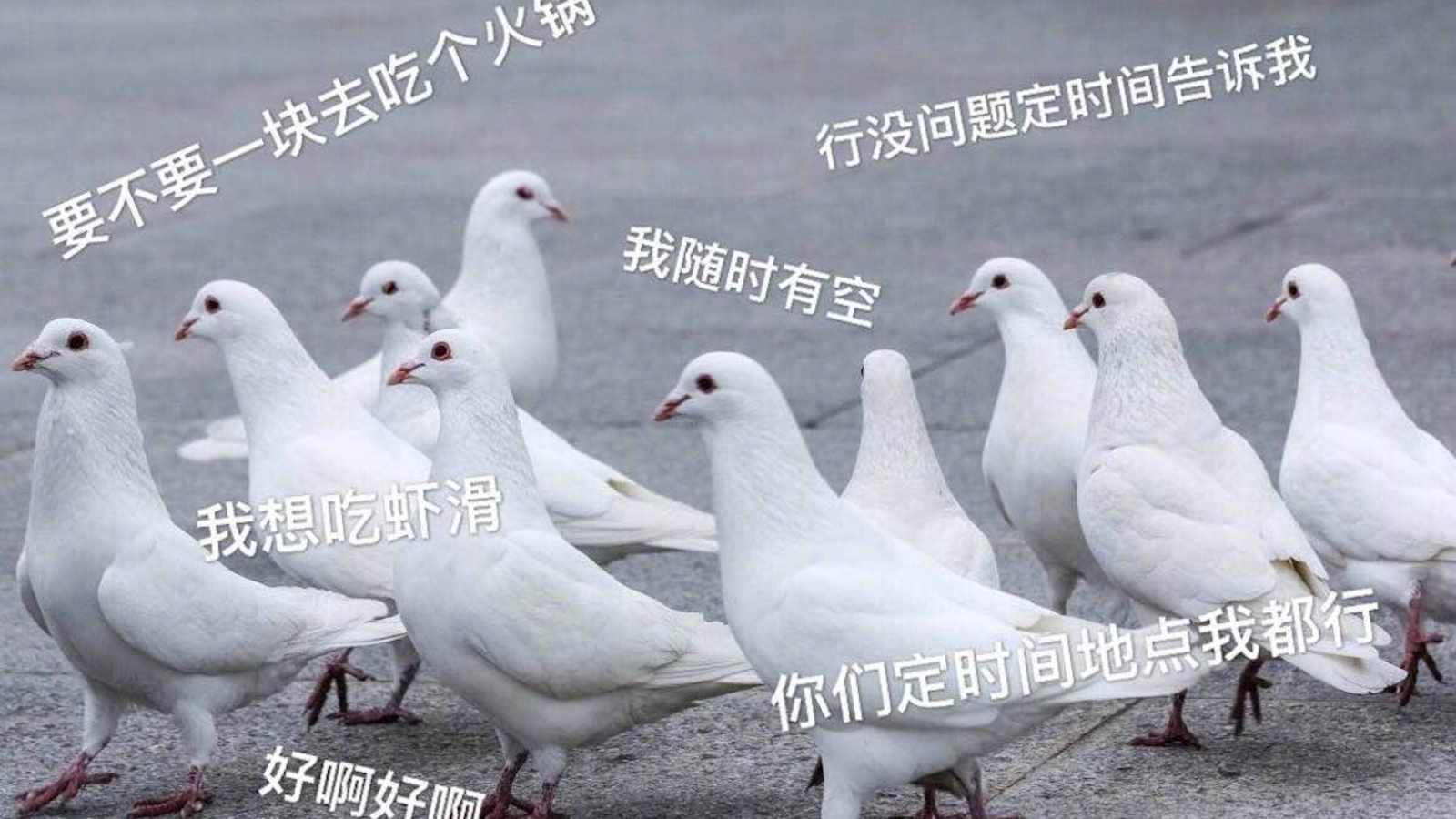 表情108.jpg