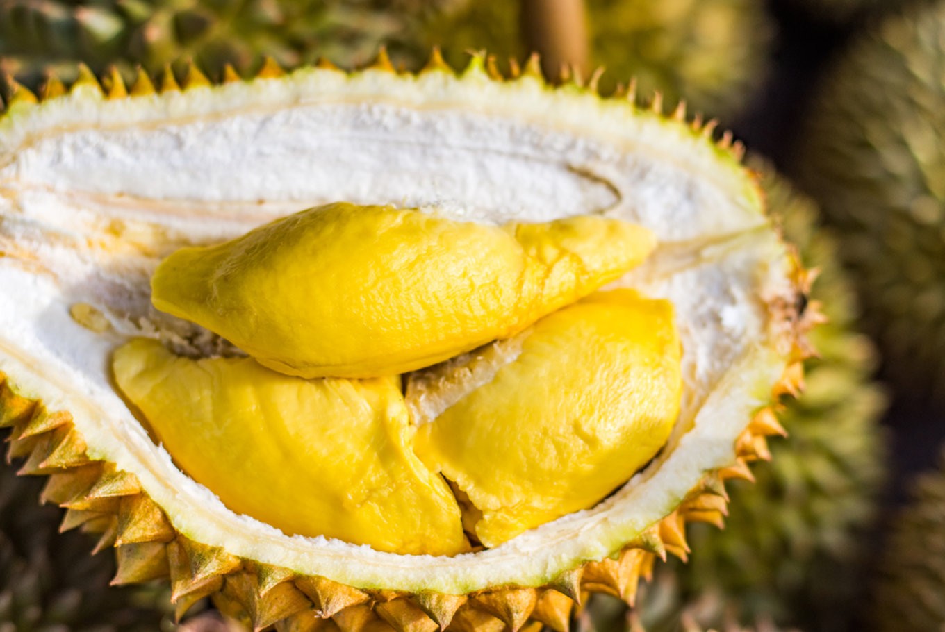durian.jpg