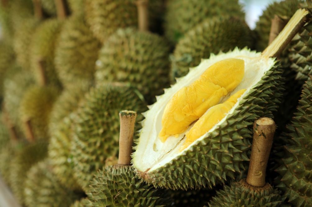 durian5.jpg